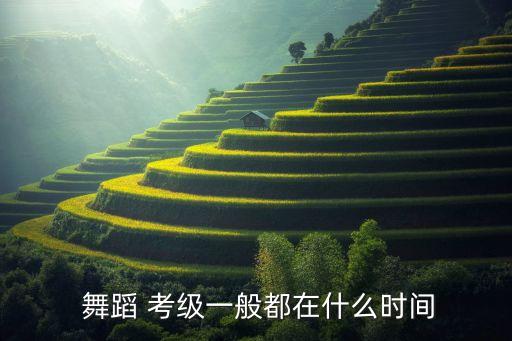 舞蹈培训班 考级通知,中国并未托管任何中国舞蹈-0/教师