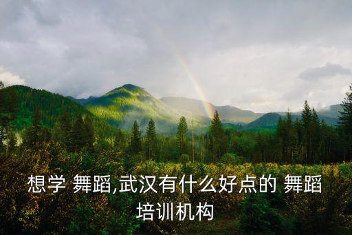 舞韵舞蹈视频,舞蹈是艺术生产力