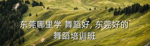东莞哪里可以考舞蹈证,如何报名参加全国统考?