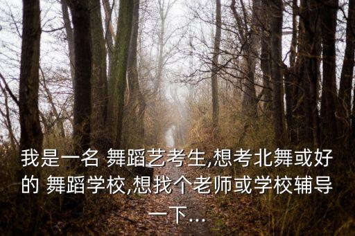 北京舞蹈学院教师招聘,中国舞蹈学院历史文化名人