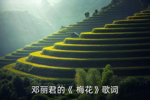 乐队梅花舞蹈视频,歌词:看，到处都是梅花象征伟大中国