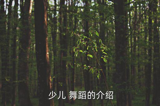 少儿舞蹈培训开设课程介绍