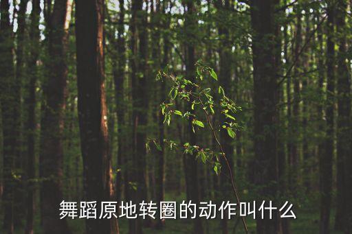  舞蹈原地转圈的动作叫什么