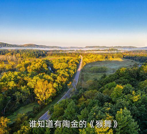 舞蹈演员赵丽萍,我国民间舞蹈孔雀舞越来越受欢迎