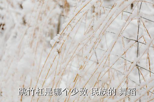 跳竹杠是哪个少数 民族的 舞蹈