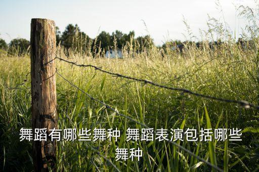 舞蹈跳舞,这些舞蹈是怎么练成的?
