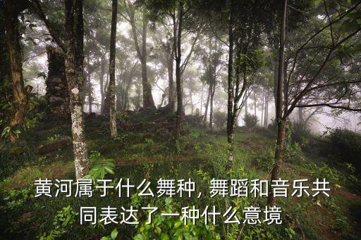 舞蹈《黄河》,黄河合唱是冼星海最重要、有影响力的交响乐杰作