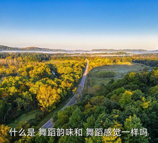什么是 舞蹈韵味和 舞蹈感觉一样吗