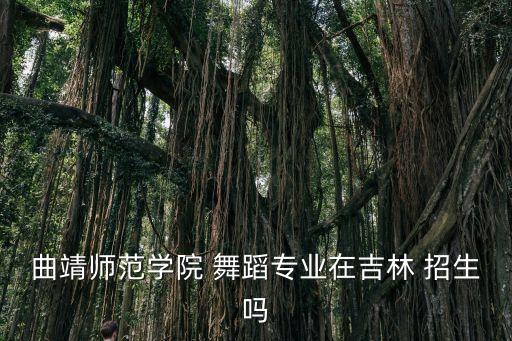 曲靖师范学院 舞蹈专业在吉林 招生吗