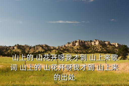  山上的 山花开呀我才到 山上来歌词 山上的 山花开呀我才到 山上来的出处