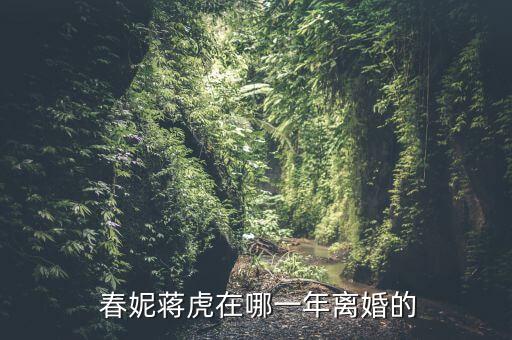  春妮蒋虎在哪一年离婚的