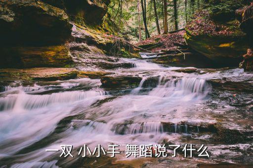 一双小小手舞蹈视频下载,第二集:一双小小手一双手舞蹈一首
