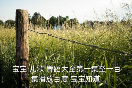  宝宝 儿歌 舞蹈大全第一集至一百集播放百度 宝宝知道