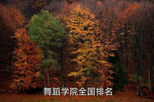  舞蹈学院全国排名