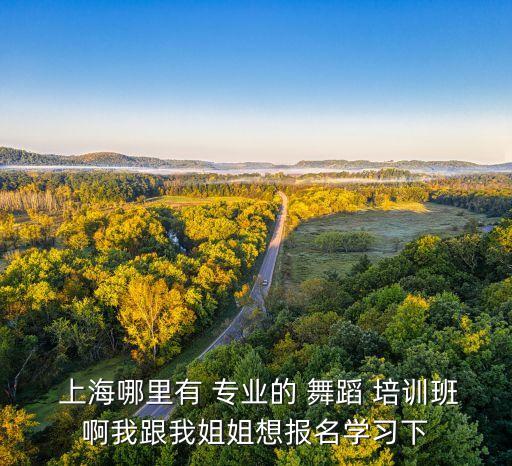 上海专业舞蹈培训,上海最早舞蹈团体文光之梦芭蕾俱乐部成立