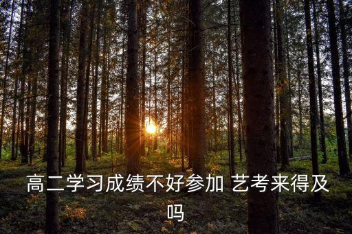 艺考舞蹈高二来得及吗,高中生学舞蹈不晚，要看课程和职业能力