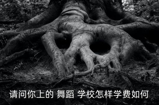 请问你上的 舞蹈 学校怎样学费如何