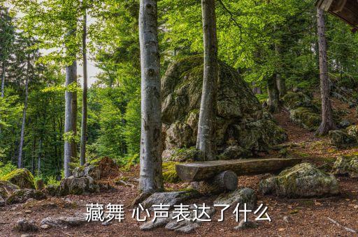藏舞 心声表达了什么