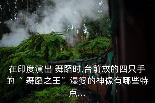 小学生舞蹈燃烧的火焰,《中国着火了》舞者简介