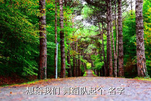 想给我们 舞蹈队起个 名字