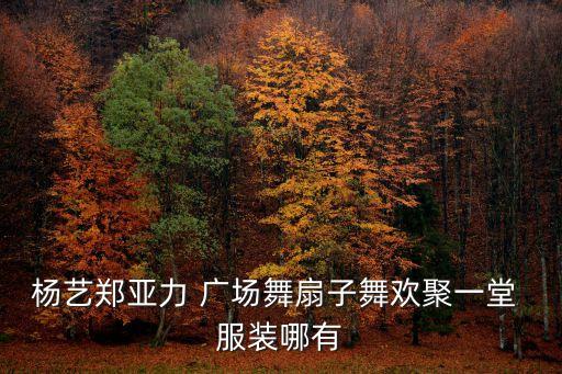 杨艺郑亚力 广场舞扇子舞欢聚一堂 服装哪有