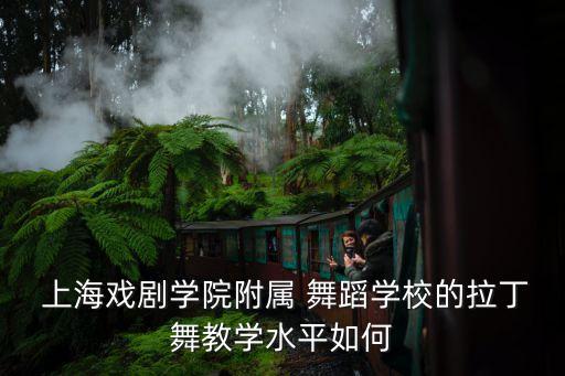 上海戏剧学院附属 舞蹈学校的拉丁舞教学水平如何