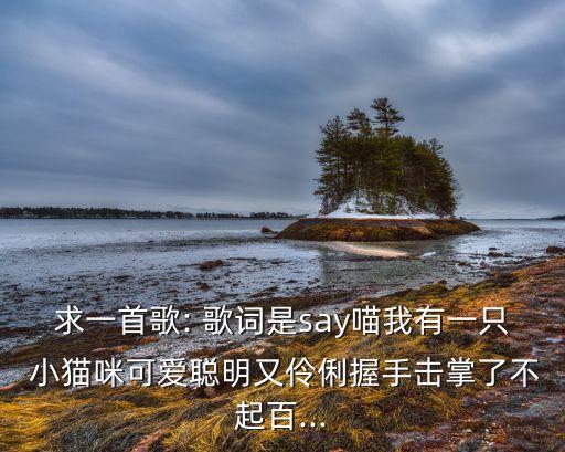 舞蹈考级小猫咪歌词,小猫mi舞蹈考级视频