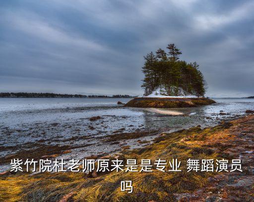 长裙广场舞蹈,舞蹈分类介绍:现代舞和拉丁舞