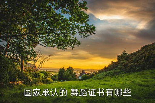 国家承认的 舞蹈证书有哪些