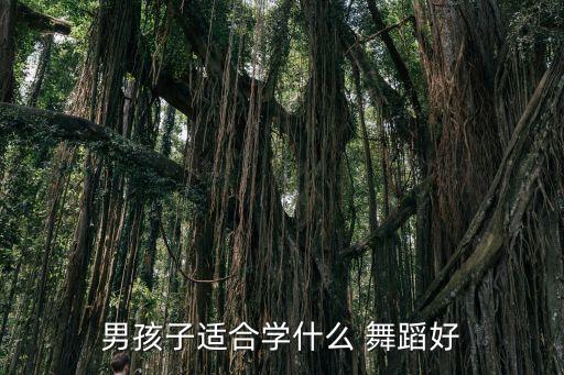 男生都学什么舞蹈视频,六岁男孩适合学什么舞蹈?