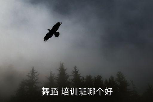  舞蹈 培训班哪个好