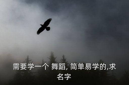 动作简单帅气的舞蹈,韩国女团舞蹈欣赏（13）