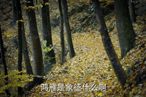  鸿雁是象征什么啊