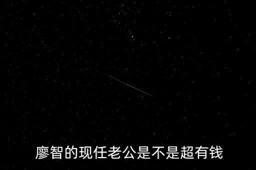  廖智的现任老公是不是超有钱