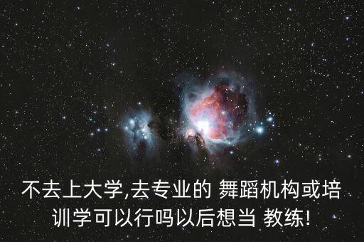 不去上大学,去专业的 舞蹈机构或培训学可以行吗以后想当 教练!