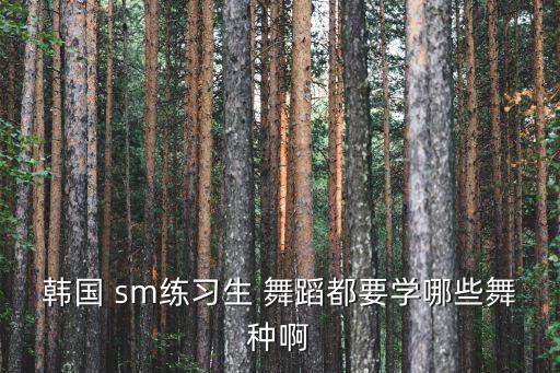 韩国 sm练习生 舞蹈都要学哪些舞种啊