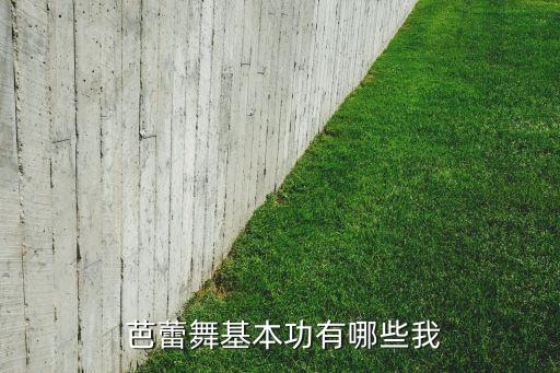 芭蕾舞蹈基本动作分解,芭蕾基础训练:手脚并用最基本的动作