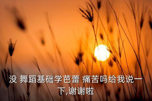 没 舞蹈基础学芭蕾 痛苦吗给我说一下,谢谢啦