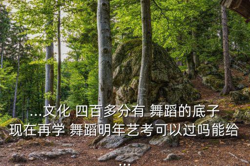 ...文化 四百多分有 舞蹈的底子现在再学 舞蹈明年艺考可以过吗能给...