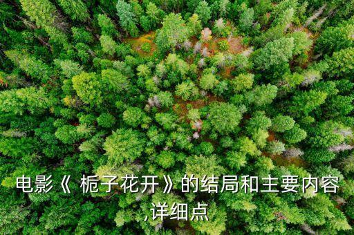 栀子花开舞蹈,电影《栀子花kai:承诺为专业出道而不懈努力