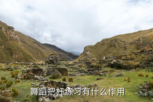 舞蹈把杆怎么练,舞蹈手柄不能随意移动真是教育的悲哀