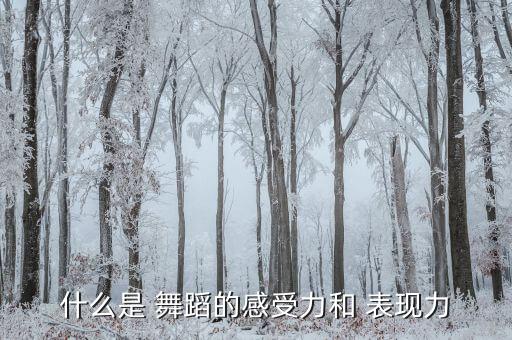 道具 舞蹈舞台表现力,舞蹈表现力是舞蹈可见性的外化形式