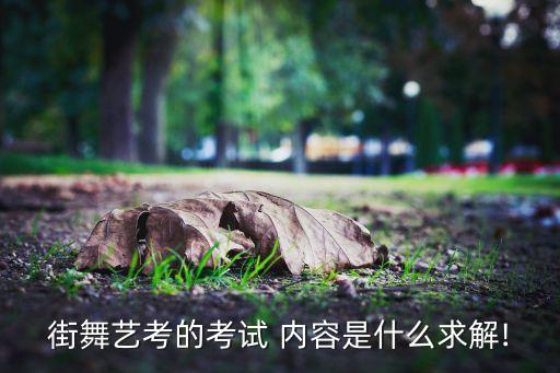 街舞艺考的考试 内容是什么求解!