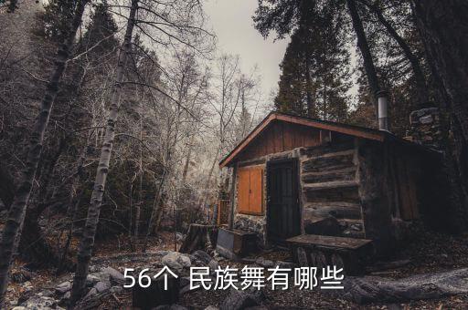 56个 民族舞有哪些