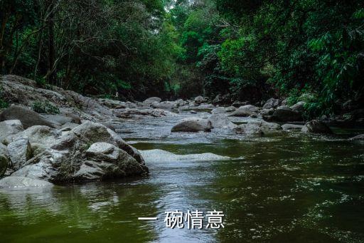 一 碗情意