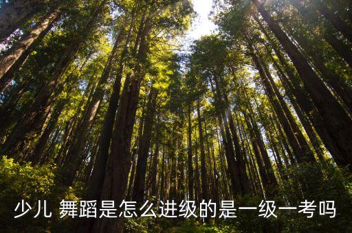 考级舞蹈的要求,中国舞蹈考级教材根据不同年龄层次划分等级