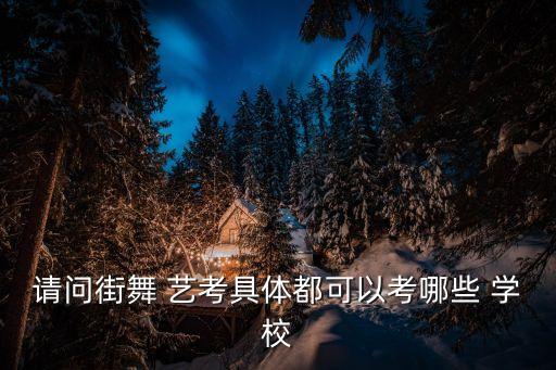请问街舞 艺考具体都可以考哪些 学校