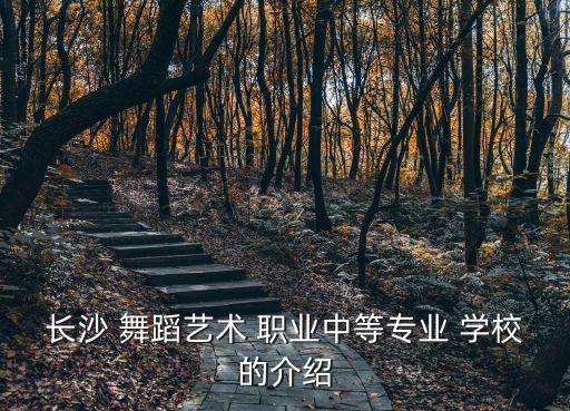 舞蹈职业学校,第一批新人包括新传媒集团创办人和主办人