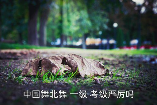 北京舞蹈一级考级报幕,中国舞蹈考级:一级二级三级四级