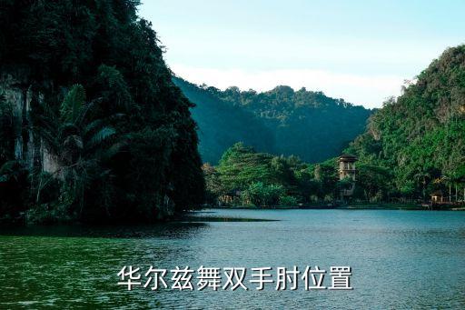 华尔兹舞蹈胯部应用,华尔兹慢三步交谊舞变化大